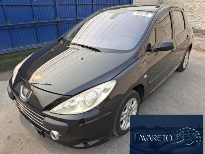 PEUGEOT 307 10/11