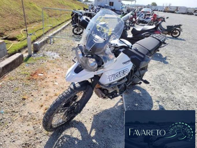 TRIUMPH TIGER 20/20